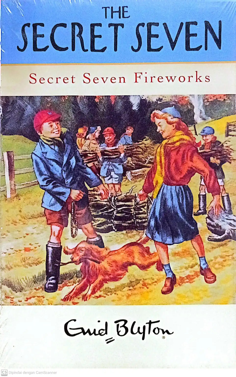 Secret Seven Fireworks (The Secret Seven Centenary Editions)
