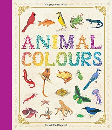 First Concept: Animal Colours