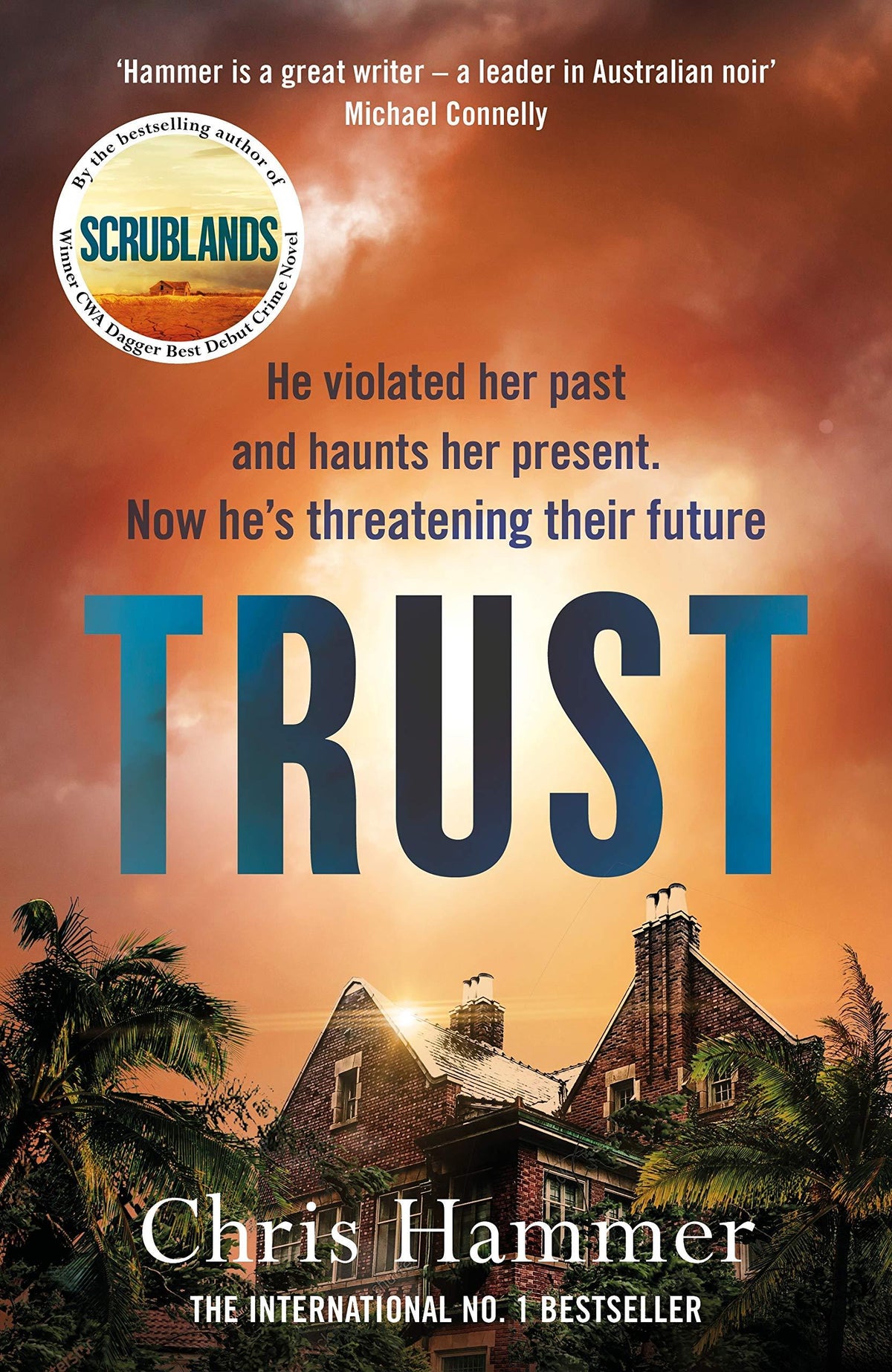 Trust (A Martin Scarsden Thriller)