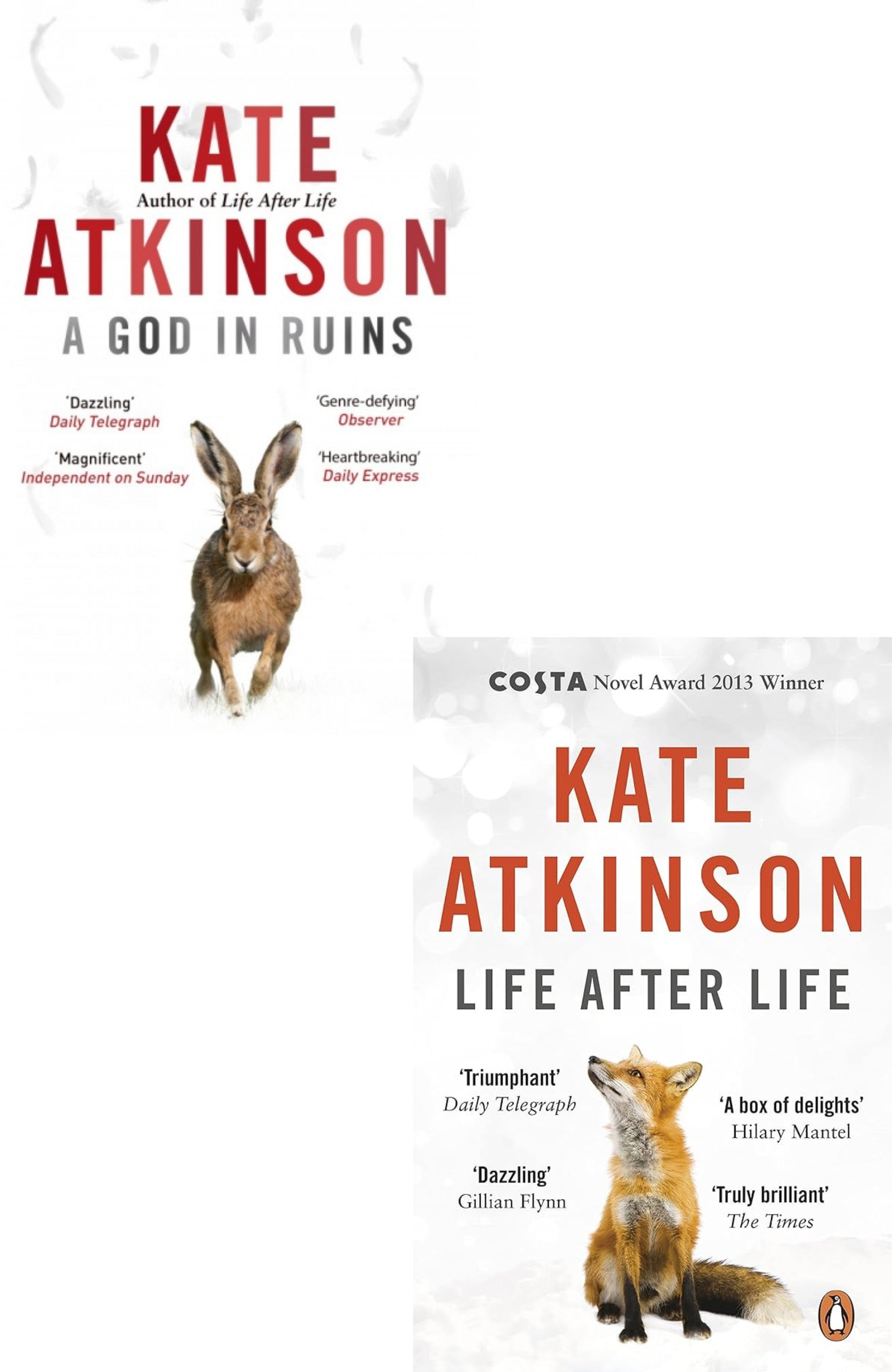 Kate Atkinson Bestseller Book Combo ( Life After Life, A God in Ruins )