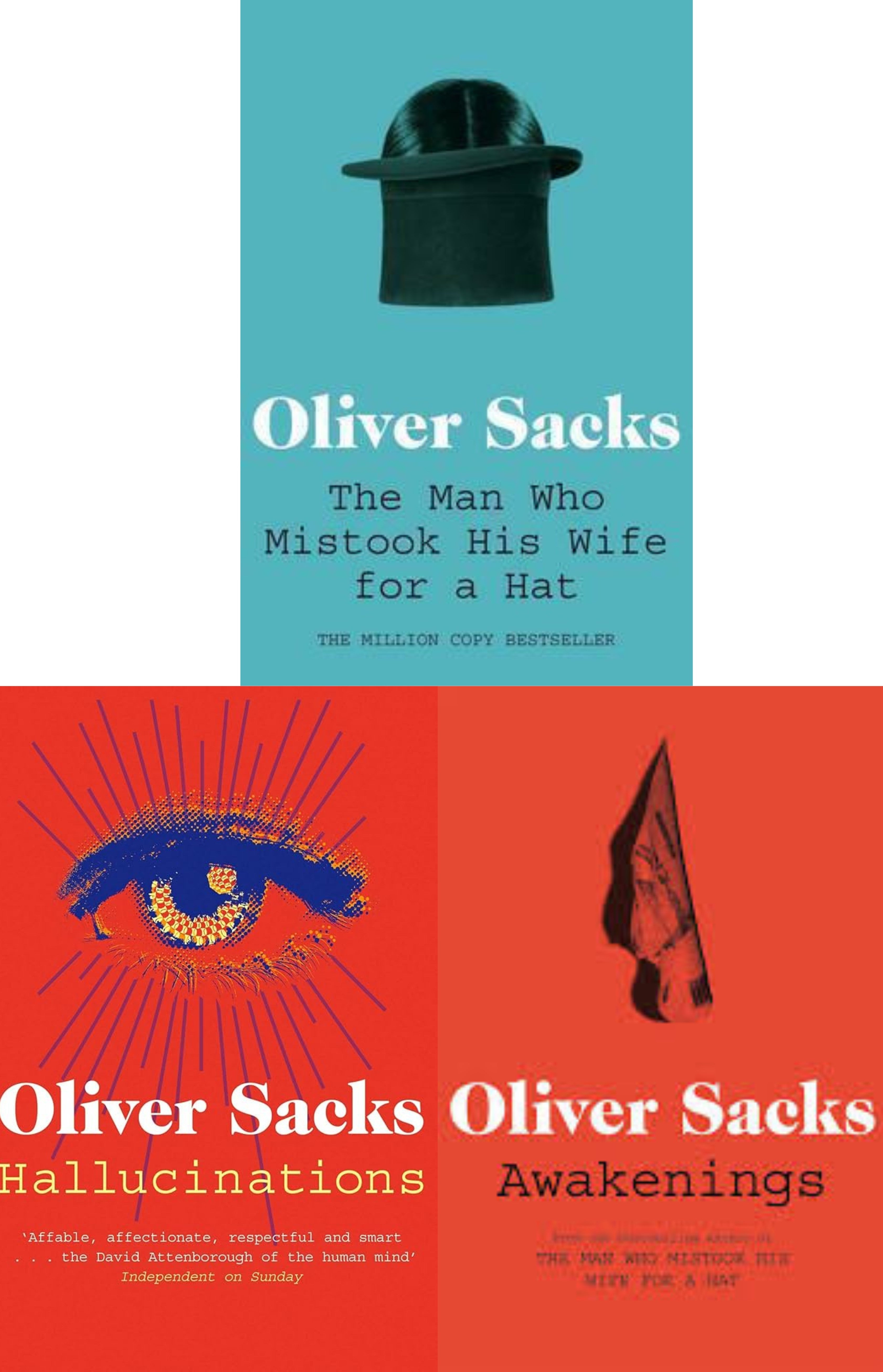 The Man Who Mistook His Wife for a Hat / Hallucinations / Awakenings