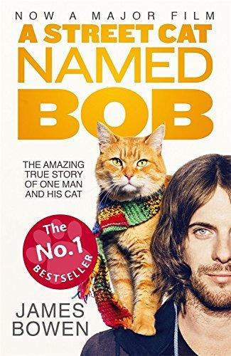 A Street Cat Named Bob: The Amazing True Story of One Man and His Cat