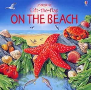 On the Beach (Lift-the-flap Learners) (Usborne Lift the Flap Learner)