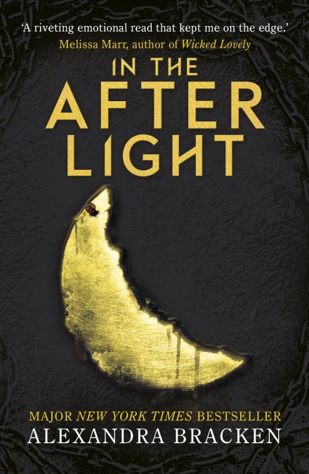In The Afterlight (The Darkest Minds, 
