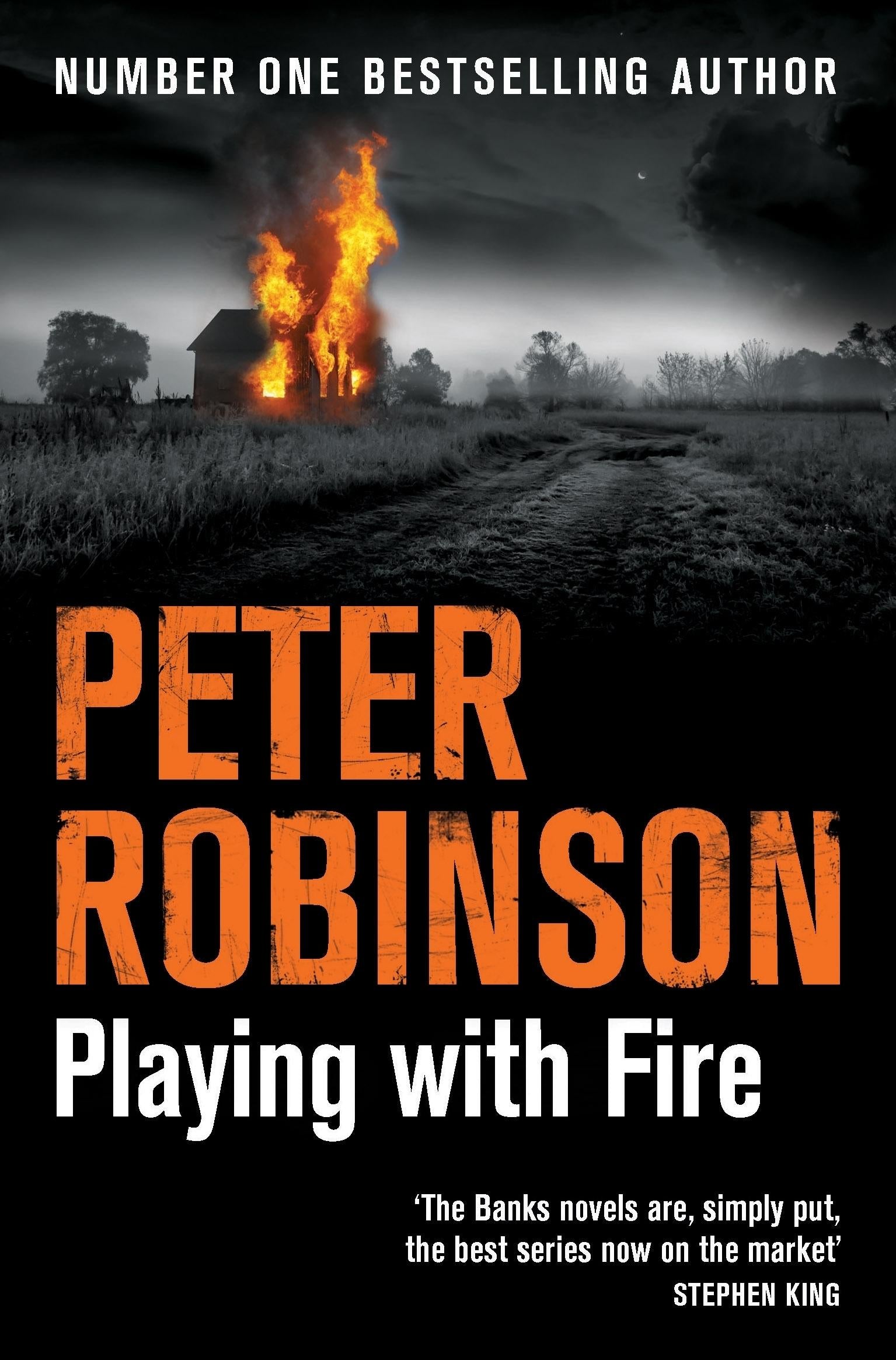 Playing With Fire (Inspector Banks, 
