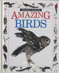 Amazing Birds (Amazing Worlds)