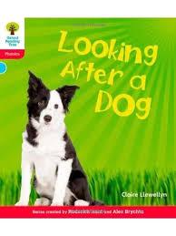 Floppy&amp;apos;s Phonics Non-Fiction 13 Books set With Handbook For Parents Pets,fun on