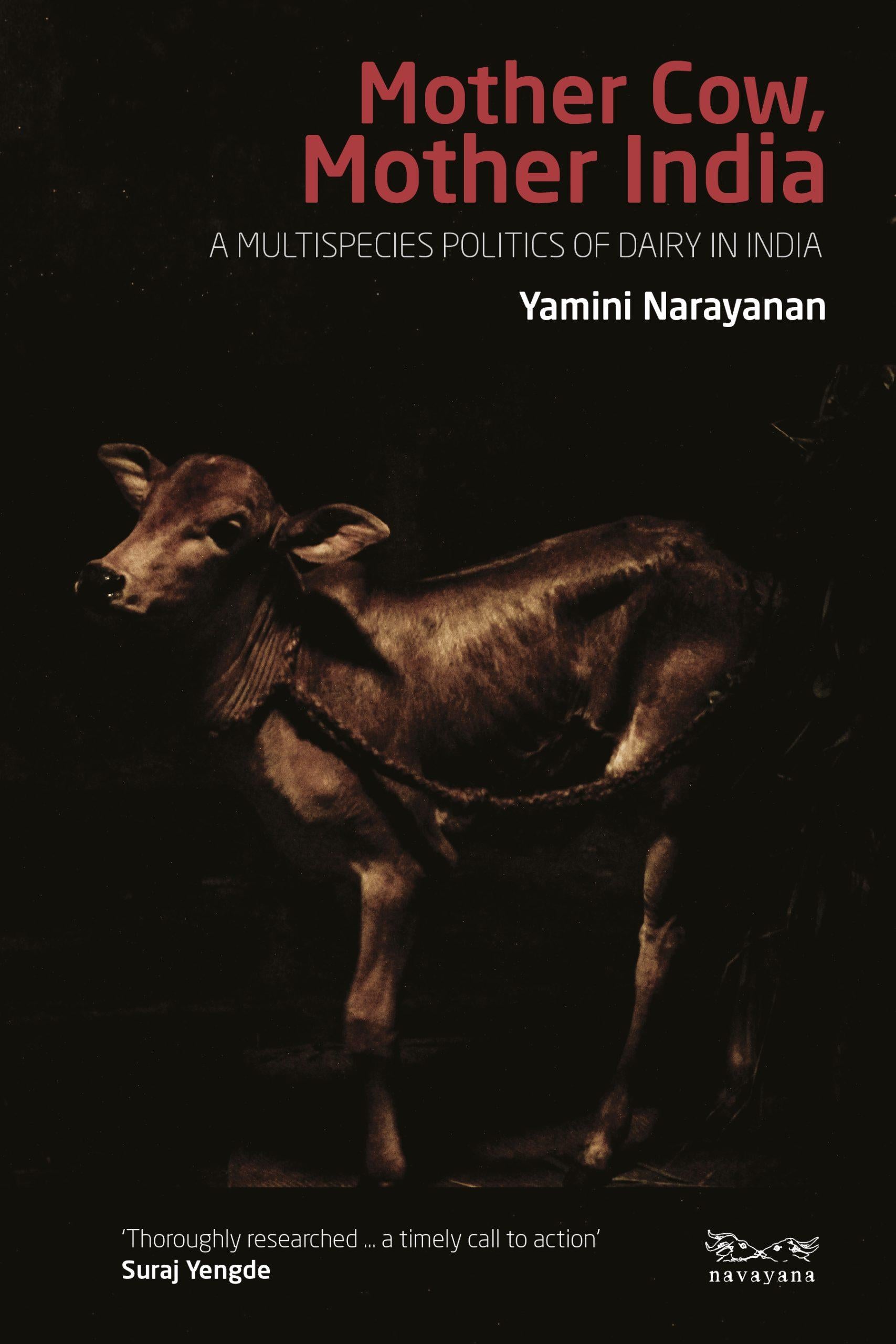 Mother Cow, Mother India: A Multispecies Politics of Dairy in India