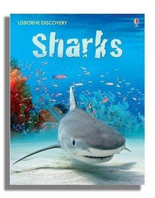 Sharks - Usborne Discovery