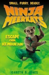 Escape From Ice Mountain (Ninja Meerkats 